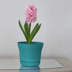 Bloem Saturn 14 in. Bermuda Teal Plastic Planter with Saucer -Litton Lane Sales Store bermuda teal bloem plant pots sp1426 40 1000