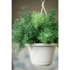 Bloem Lucca 13 in. Black Plastic Self-Watering Hanging Basket Planter -Litton Lane Sales Store black bloem hanging planters lhb1300 1f 1000