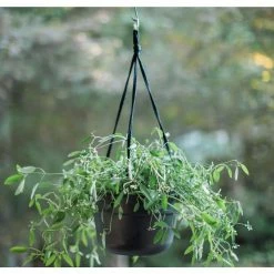 Bloem Dura Cotta 12 in. Black Plastic Self Watering Hanging Basket Planter -Litton Lane Sales Store black bloem plant hangers dchb12 00 1d 1000