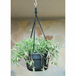 Bloem Dura Cotta 12 in. Black Plastic Self Watering Hanging Basket Planter -Litton Lane Sales Store black bloem plant hangers dchb12 00 4f 1000