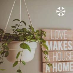 Bloem Dura Cotta 12 in. Black Plastic Self Watering Hanging Basket Planter -Litton Lane Sales Store black bloem plant hangers dchb12 00 a0 1000