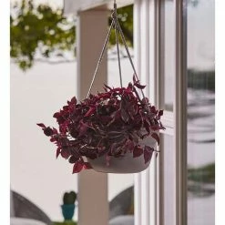 Bloem Dura Cotta 12 in. Black Plastic Self Watering Hanging Basket Planter -Litton Lane Sales Store black bloem plant hangers dchb12 00 c3 1000