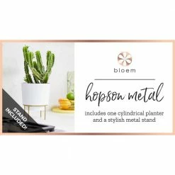 Bloem Hopson Small 6 in. Black Plastic Planter with Metal Gold Stand -Litton Lane Sales Store black bloem plant pots hop0600 m c3 1000
