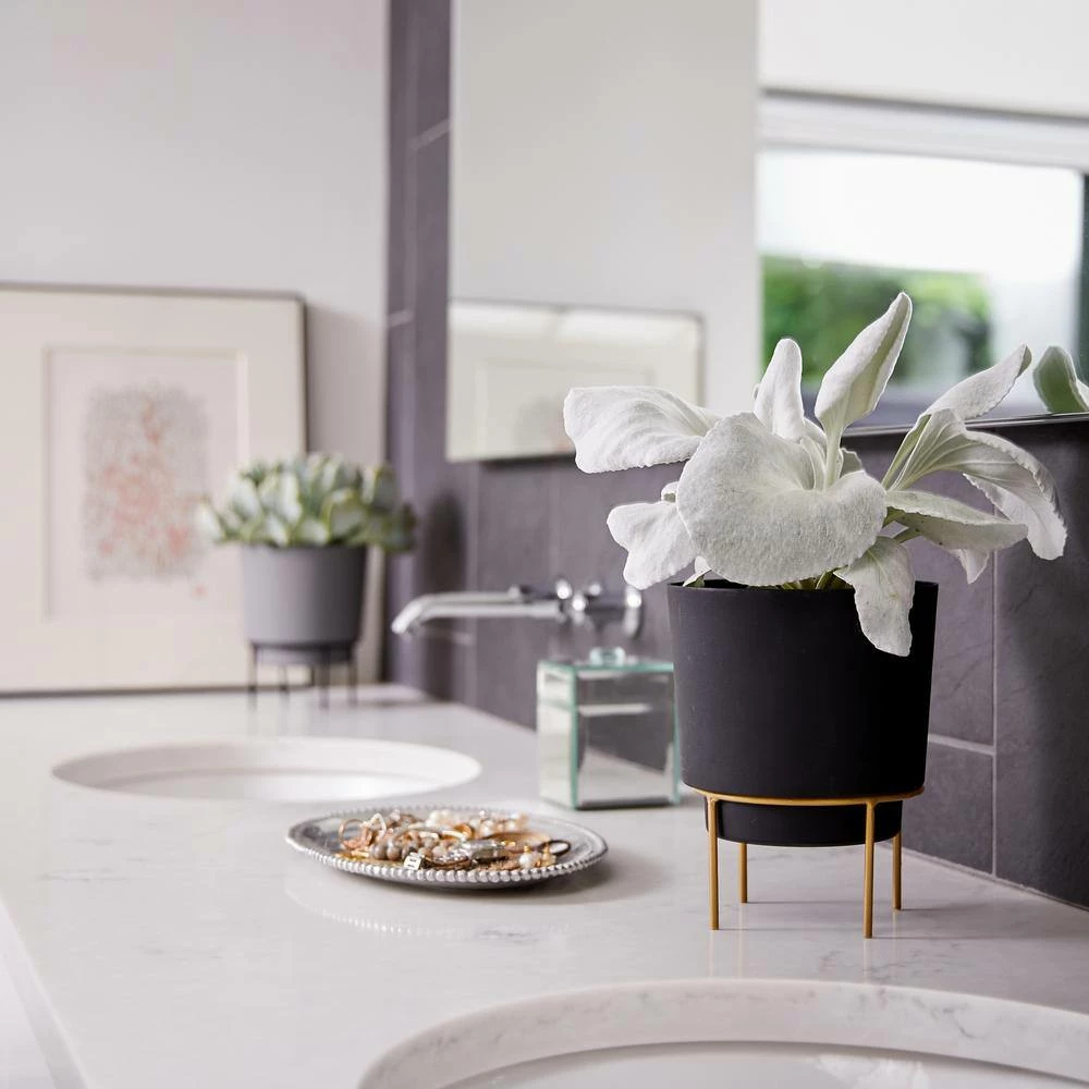 Bloem Hopson Medium 10 in. Black Plastic Planter with Metal Gold Stand 13 Bloem Hopson Medium 10 in. Black Plastic Planter with Metal Gold Stand - Image 11