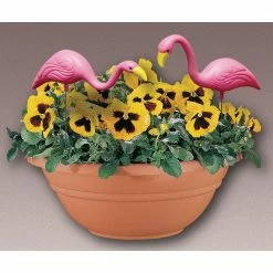 Bloem Mini Mingo -Litton Lane Sales Store bloem garden statues g52 4f 1000