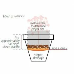 Bloem Ups-A-Daisy Round 16 in. Plastic Planter Lift Insert -Litton Lane Sales Store bloem plant liners t6326 c3 1000