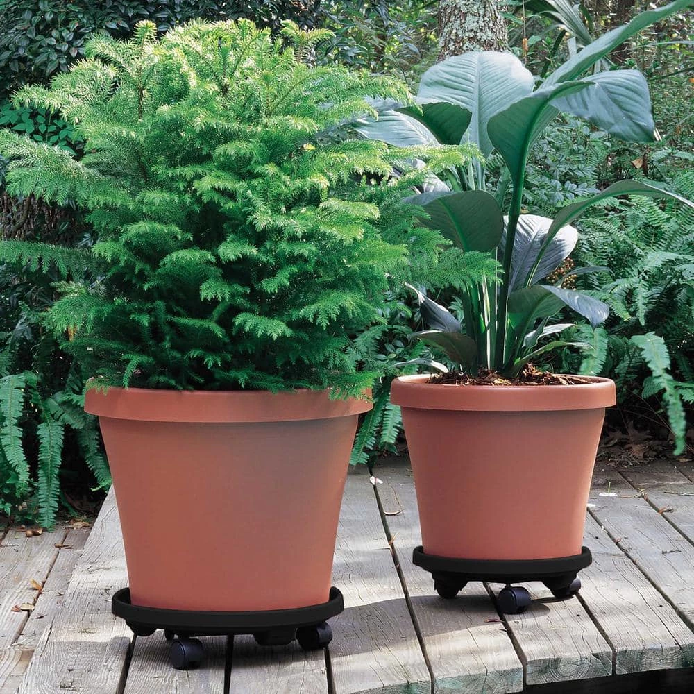 Bloem Caddy Round 14 in. Black Plastic Plant Stand Caddy with Wheels (2-Pack) 4 Bloem Caddy Round 14 in. Black Plastic Plant Stand Caddy with Wheels (2-Pack) - Image 2