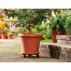 Bloem Caddy Round 16 in. Terra Cotta Plastic Plant Stand Caddy with Wheels -Litton Lane Sales Store bloem planter saucers 95126c 1d 1000