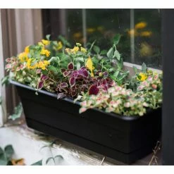 Bloem Dura Cotta 18 in. Black Plastic Window Box Planter with Tray -Litton Lane Sales Store bloem planter saucers dcbt18 00 4f 1000