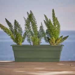 Bloem Dura Cotta 18 in. Living Green Plastic Window Box Planter with Tray -Litton Lane Sales Store bloem planter saucers dcbt18 42 e1 1000