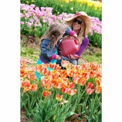 Bloem Aqua Rite 0.4 Gal. (56 fl. oz.) Earthy Yellow Watering Can -Litton Lane Sales Store bloem watering cans aw21 23 a0 1000