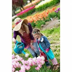 Bloem 2 Gal. (256 fl. oz.) Watering Can Deluxe Classic Blue -Litton Lane Sales Store bloem watering cans dwc2 33 1d 1000