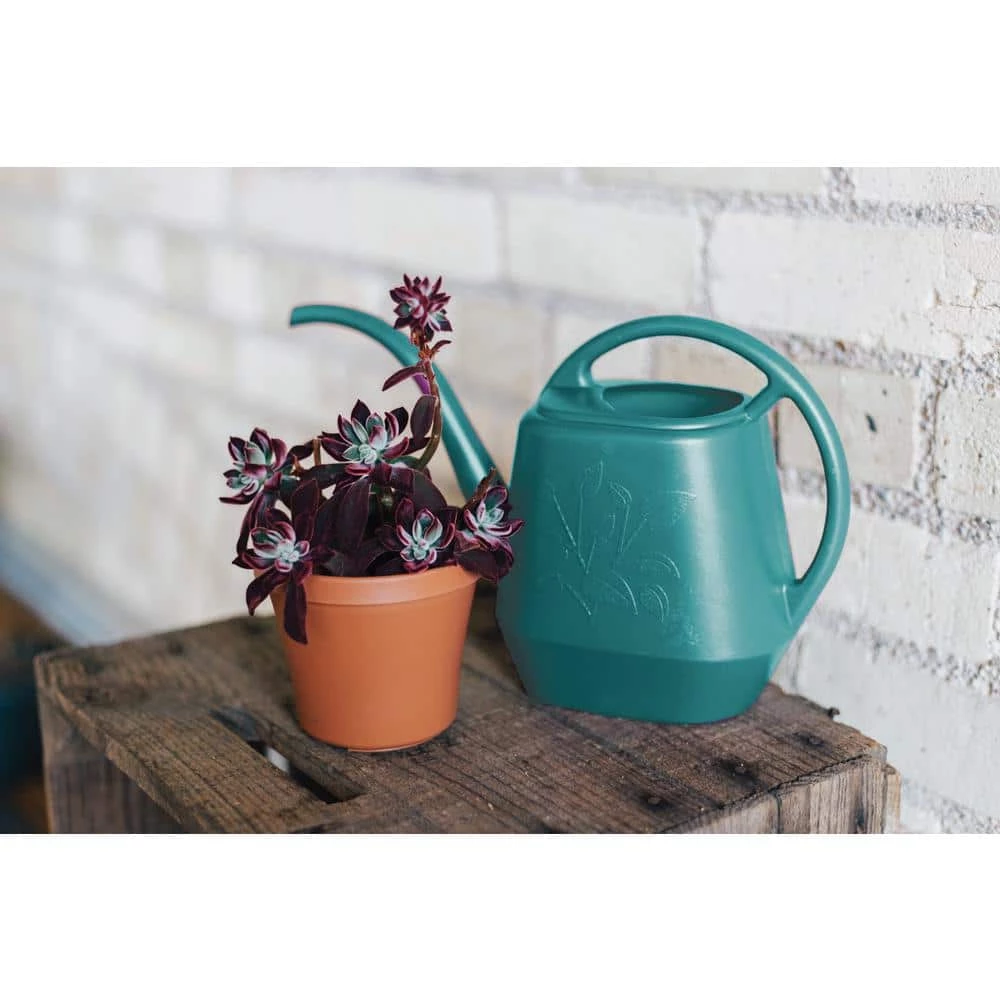 Bloem Aqua Rite 1.1 Gal. (144 fl. oz.) Bermuda Teal Green Watering Can 4 Bloem Aqua Rite 1.1 Gal. (144 fl. oz.) Bermuda Teal Green Watering Can - Image 2