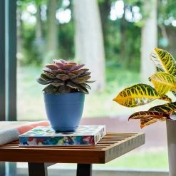 Bloem Dayton 20 in. Plastic Planter with Saucer Tray, Blue -Litton Lane Sales Store blue bloem plant pots day2071l 31 1000