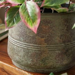 Litton Lane 16 in. x 11 in. Round Indoor Outdoor Distressed Bucket Style Brass Metal Planter with Side Ring Handles (Set of 3) 16 Litton Lane 16 in. x 11 in. Round Indoor Outdoor Distressed Bucket Style Brass Metal Planter with Side Ring Handles (Set of 3) -Litton Lane Sales Store brass litton lane plant pots 69183 77 1000