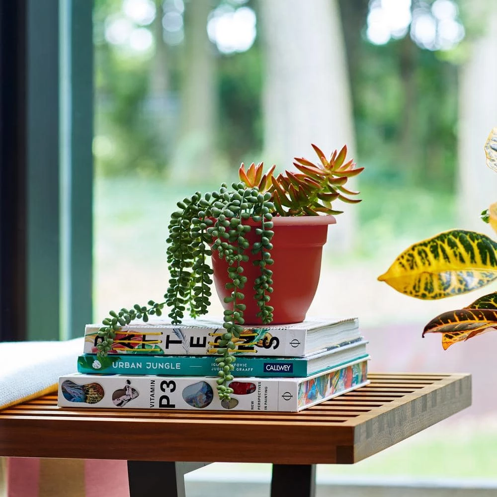 Bloem Ariana 17.75 in. Burnt Red Plastic Self-Watering Planter 12 Bloem Ariana 17.75 in. Burnt Red Plastic Self-Watering Planter - Image 10