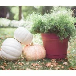 Bloem Saturn 12 in. Burnt Red Plastic Planter with Saucer -Litton Lane Sales Store burnt red bloem plant pots sp1213 1f 1000