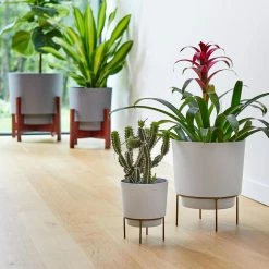 Bloem Hopson Medium 10 in. Casper White Plastic Planter with Metal Gold Stand 23 Bloem Hopson Medium 10 in. Casper White Plastic Planter with Metal Gold Stand -Litton Lane Sales Store casper white bloem plant pots hop1009 m 4f 1000