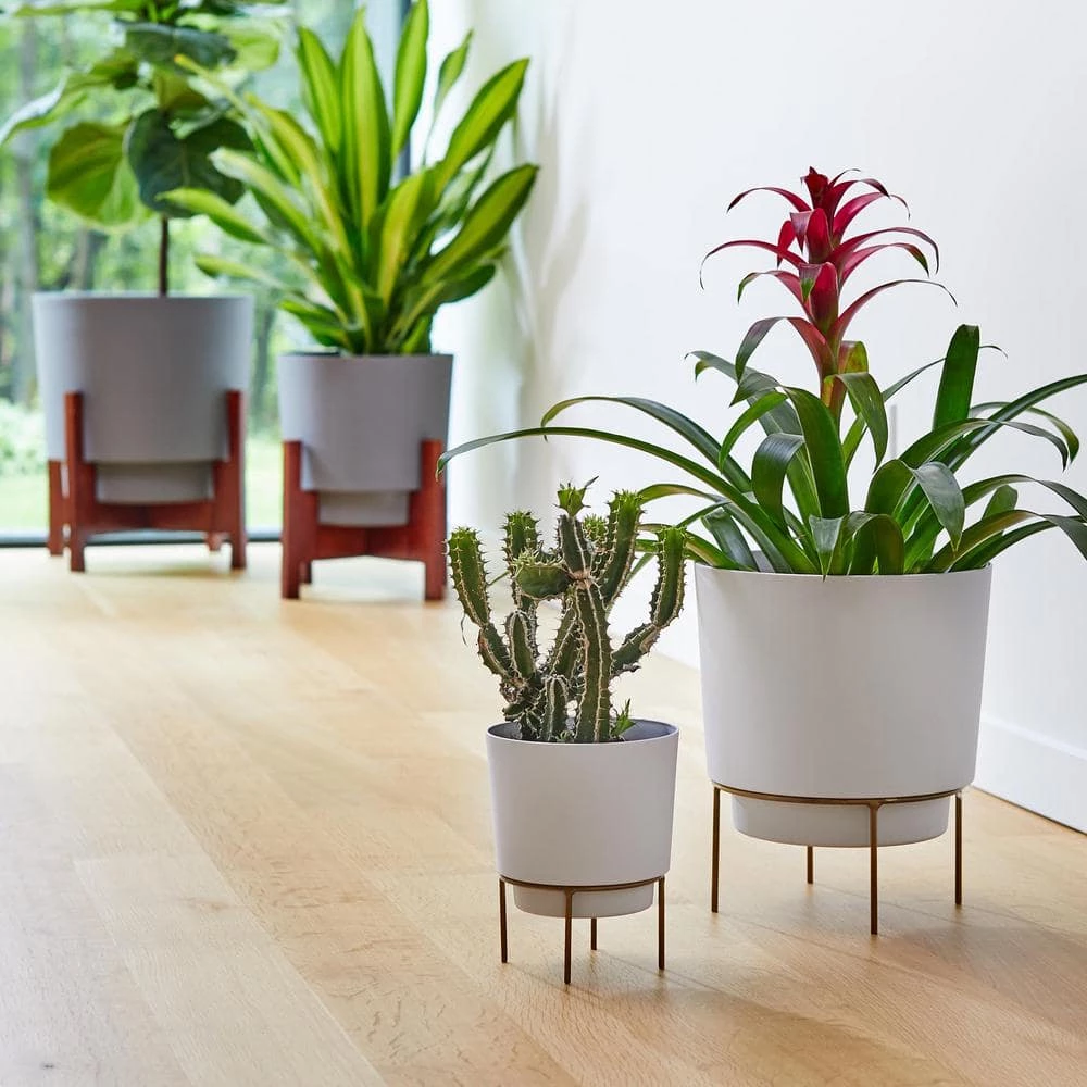 Bloem Hopson Medium 10 in. Casper White Plastic Planter with Metal Gold Stand 11 Bloem Hopson Medium 10 in. Casper White Plastic Planter with Metal Gold Stand - Image 9