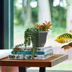 Bloem Ariana 13 in. Charcoal Grey Plastic Self-Watering Planter 15 Bloem Ariana 13 in. Charcoal Grey Plastic Self-Watering Planter -Litton Lane Sales Store charcoal bloem plant pots ap12908 40 1000