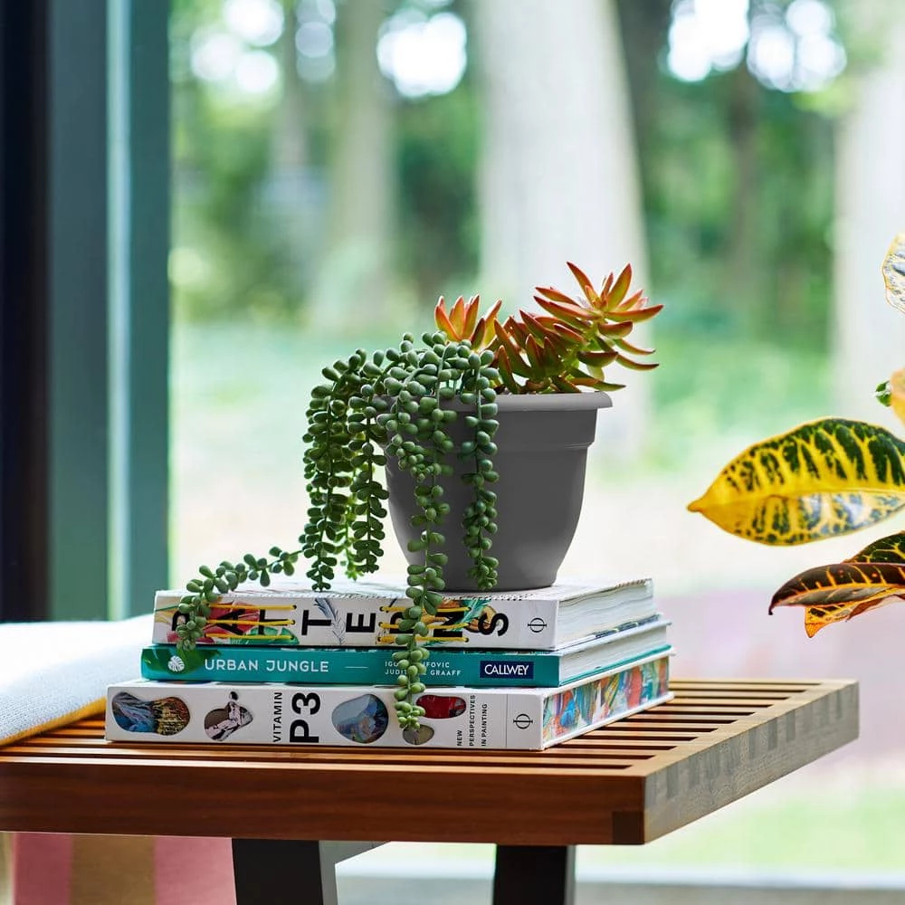 Bloem Ariana 21.5 in. Charcoal Grey Plastic Self-Watering Planter 5 Bloem Ariana 21.5 in. Charcoal Grey Plastic Self-Watering Planter - Image 3