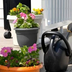 Bloem Ariana 21.5 in. Charcoal Grey Plastic Self-Watering Planter 18 Bloem Ariana 21.5 in. Charcoal Grey Plastic Self-Watering Planter -Litton Lane Sales Store charcoal bloem plant pots ap20908 c3 1000