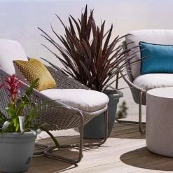 Bloem Lucca 13.25 in. Charcoal Plastic Self-Watering Planter with Saucer -Litton Lane Sales Store charcoal bloem plant pots lp12908 31 1000