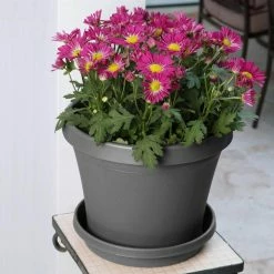 Bloem Terra 4 in. Charcoal Plastic Planter -Litton Lane Sales Store charcoal bloem plant pots tr04908 1d 1000