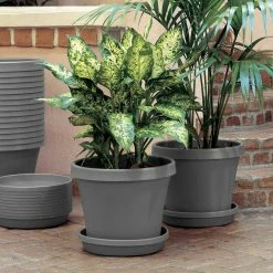 Bloem Terra 6 in. Charcoal Plastic Planter -Litton Lane Sales Store charcoal bloem plant pots tr06908 40 1000
