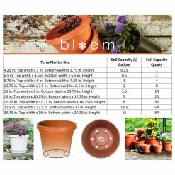 Bloem Terra 6 in. Charcoal Plastic Planter -Litton Lane Sales Store charcoal bloem plant pots tr06908 66 1000