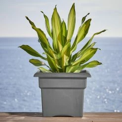 Bloem Veranda Square 18 in. Charcoal Plastic Deck Box Planter -Litton Lane Sales Store charcoal bloem plant pots ver18908 e1 1000