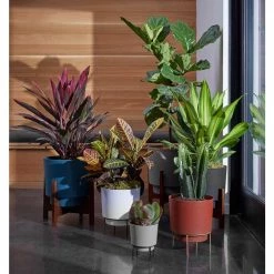 Bloem Hopson Medium 10 in. Charcoal Gray Plastic Planter with Metal Black Stand -Litton Lane Sales Store charcoal gray bloem plant pots hop10908 m 31 1000