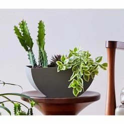 Bloem Bodye Medium 11 in. Charcoal Gray Resin Half Moon Wall Mounted Hanging Planter -Litton Lane Sales Store charcoal gray bloem wall planters bod11908 hm 40 1000