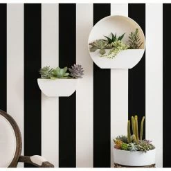 Bloem Bodye Medium 11 in. Charcoal Gray Resin Half Moon Wall Mounted Hanging Planter -Litton Lane Sales Store charcoal gray bloem wall planters bod11908 hm a0 1000