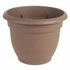 Bloem Ariana 8.75 in. Chocolate Brown Plastic Self-Watering Planter -Litton Lane Sales Store chocolate bloem plant pots 20 56308ch 64 1000