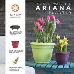Bloem Ariana 13 in. Chocolate Brown Plastic Self-Watering Planter -Litton Lane Sales Store chocolate bloem plant pots 20 56312ch 1f 1000