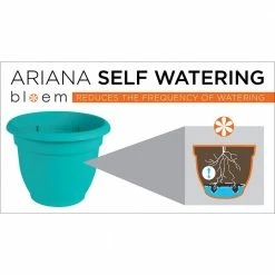Bloem Ariana 13 in. Chocolate Brown Plastic Self-Watering Planter -Litton Lane Sales Store chocolate bloem plant pots 20 56312ch 4f 1000