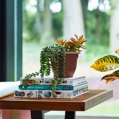 Bloem Ariana 13 in. Chocolate Brown Plastic Self-Watering Planter -Litton Lane Sales Store chocolate bloem plant pots 20 56312ch c3 1000