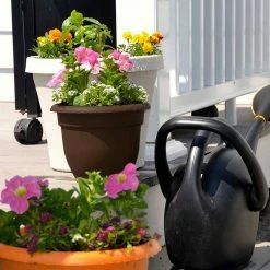 Bloem Ariana 17.75 in. Chocolate Brown Plastic Self-Watering Planter -Litton Lane Sales Store chocolate bloem plant pots 20 56316ch 44 1000