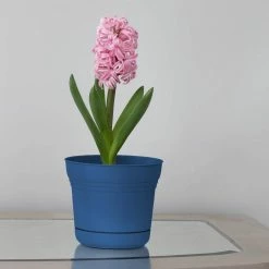 Bloem 12 in. Classic Blue Saturn Plastic Planter with Saucer -Litton Lane Sales Store classic blue bloem plant pots sp1233 77 1000