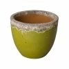 Emissary Large 20 in. Lime Ceramic Reef Round Planter -Litton Lane Sales Store lime emissary plant pots 12185rl 5 64 1000