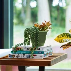 Bloem Ariana 8.75 in. Living Green Plastic Self-Watering Planter 14 Bloem Ariana 8.75 in. Living Green Plastic Self-Watering Planter -Litton Lane Sales Store living green bloem plant pots 20 56408 40 1000