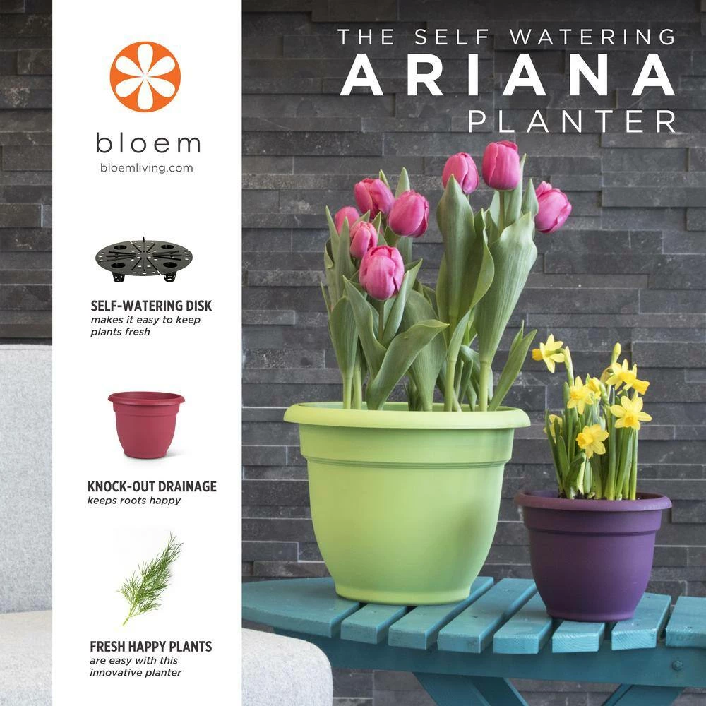 Bloem Ariana 16 in. Living Green Plastic Self-Watering Planter 11 Bloem Ariana 16 in. Living Green Plastic Self-Watering Planter - Image 9