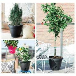 Bloem Lucca 6.75 in. Living Green Plastic Self-Watering Planter with Saucer -Litton Lane Sales Store living green bloem plant pots lp0642 c3 1000