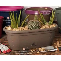 Bloem Lucca 19 in. Living Green Plastic Self-Watering Window Box with Saucer 15 Bloem Lucca 19 in. Living Green Plastic Self-Watering Window Box with Saucer -Litton Lane Sales Store living green bloem window boxes lwb1842 1f 1000