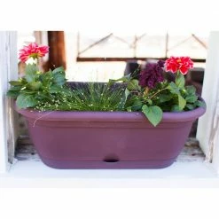 Bloem Lucca 19 in. Living Green Plastic Self-Watering Window Box with Saucer 13 Bloem Lucca 19 in. Living Green Plastic Self-Watering Window Box with Saucer -Litton Lane Sales Store living green bloem window boxes lwb1842 66 1000
