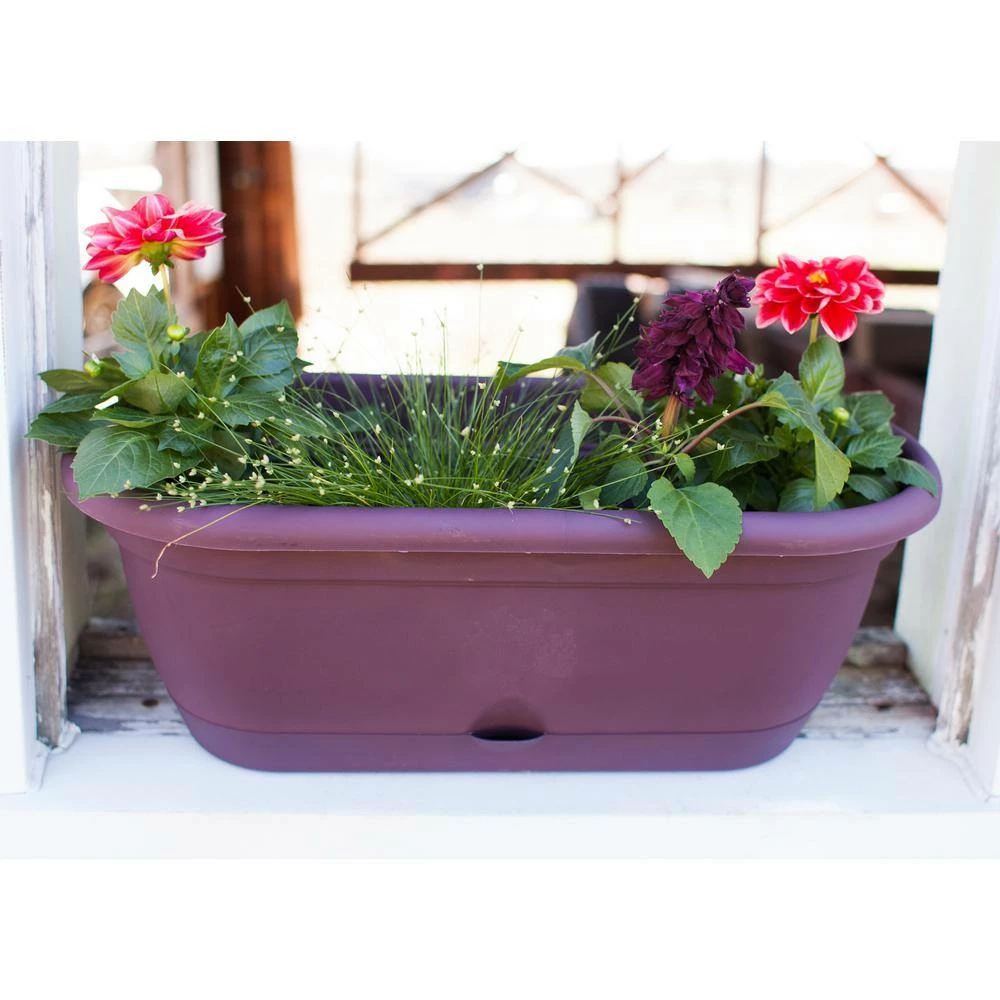 Bloem Lucca 19 in. Living Green Plastic Self-Watering Window Box with Saucer 7 Bloem Lucca 19 in. Living Green Plastic Self-Watering Window Box with Saucer - Image 5