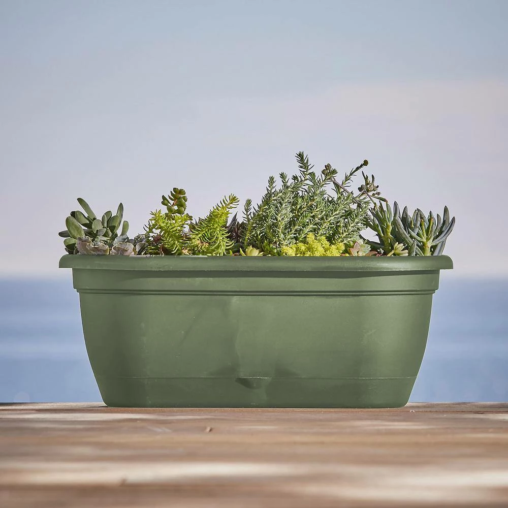 Bloem Lucca 19 in. Living Green Plastic Self-Watering Window Box with Saucer 4 Bloem Lucca 19 in. Living Green Plastic Self-Watering Window Box with Saucer - Image 2