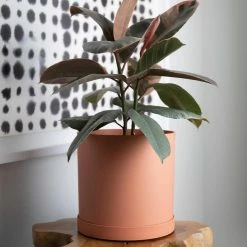 Bloem Mathers Resin Planter with Saucer Tray 10 in. Muted Terra Cotta -Litton Lane Sales Store muted terra cotta bloem plant pots mat1047 1d 1000