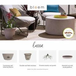 Bloem Lucca 6.75 in. Pebble Stone Plastic Self-Watering Planter with Saucer -Litton Lane Sales Store pebble stone bloem plant pots lp0683 4f 1000